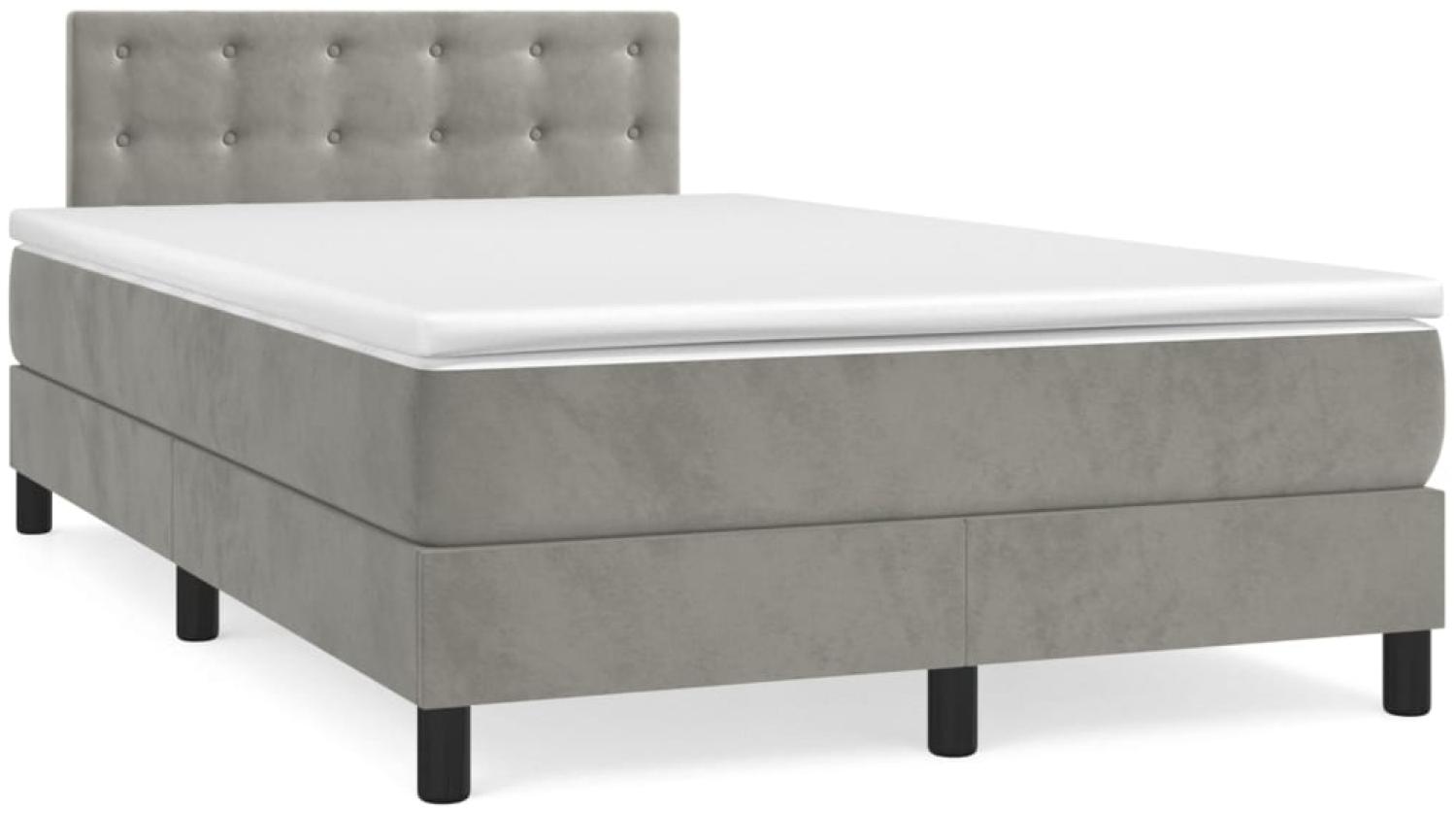 vidaXL Boxspringbett mit Matratze Hellgrau 120x190 cm Samt 3269861 Bild 1