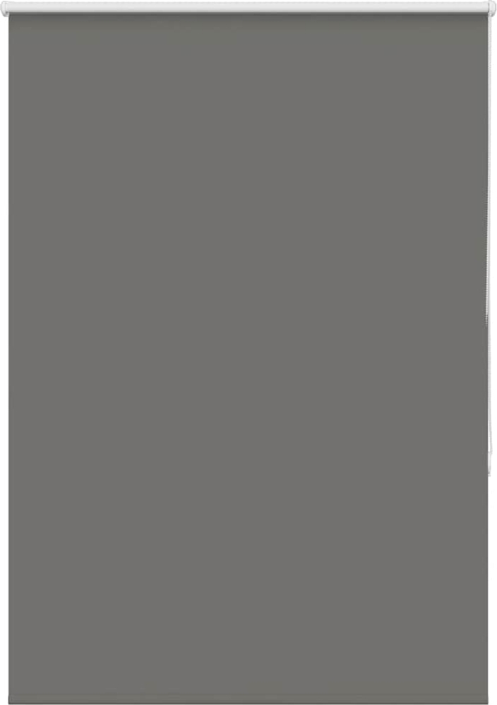 vidaXL Verdunkelungsrollo Grau 110x130cm Stoffbreite 105,7cm Polyester 4011104 Bild 1