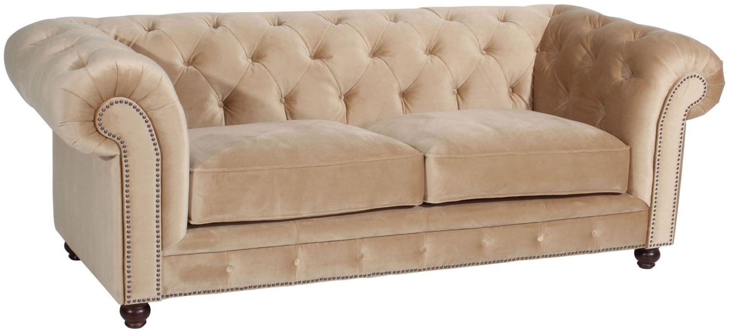 Sofa 2,5-Sitzer Kathe Bezug Samtvelours Buche nussbaum dunkel / sand 22493 Bild 1