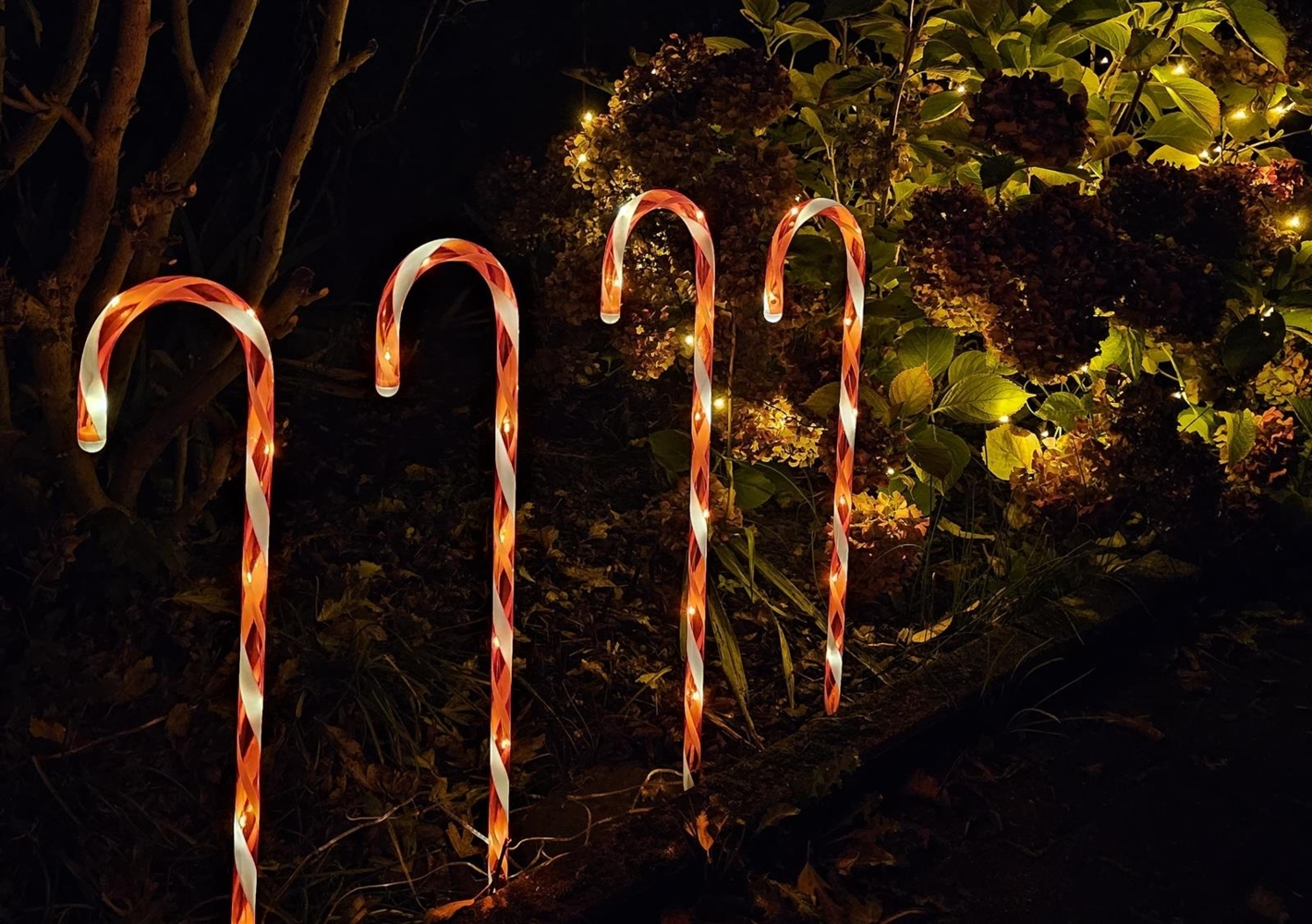 Bambelaa! LED Zuckerstangen Gartenstecker Rot Weiß 74 cm Weihnachtsdeko Außen Beleuchtet mit 32 LED Batteriebetrieben für Garten und Haus (Timer und 8 Leuchtmodi) Bild 1