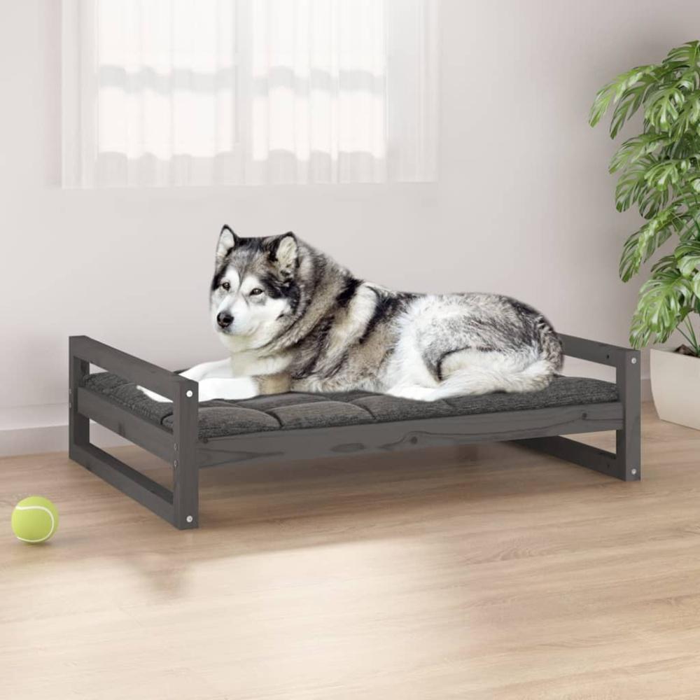 vidaXL Hundebett 105,5 x 75,5 x 28 cm Massivholz Kiefer, Grau Bild 1