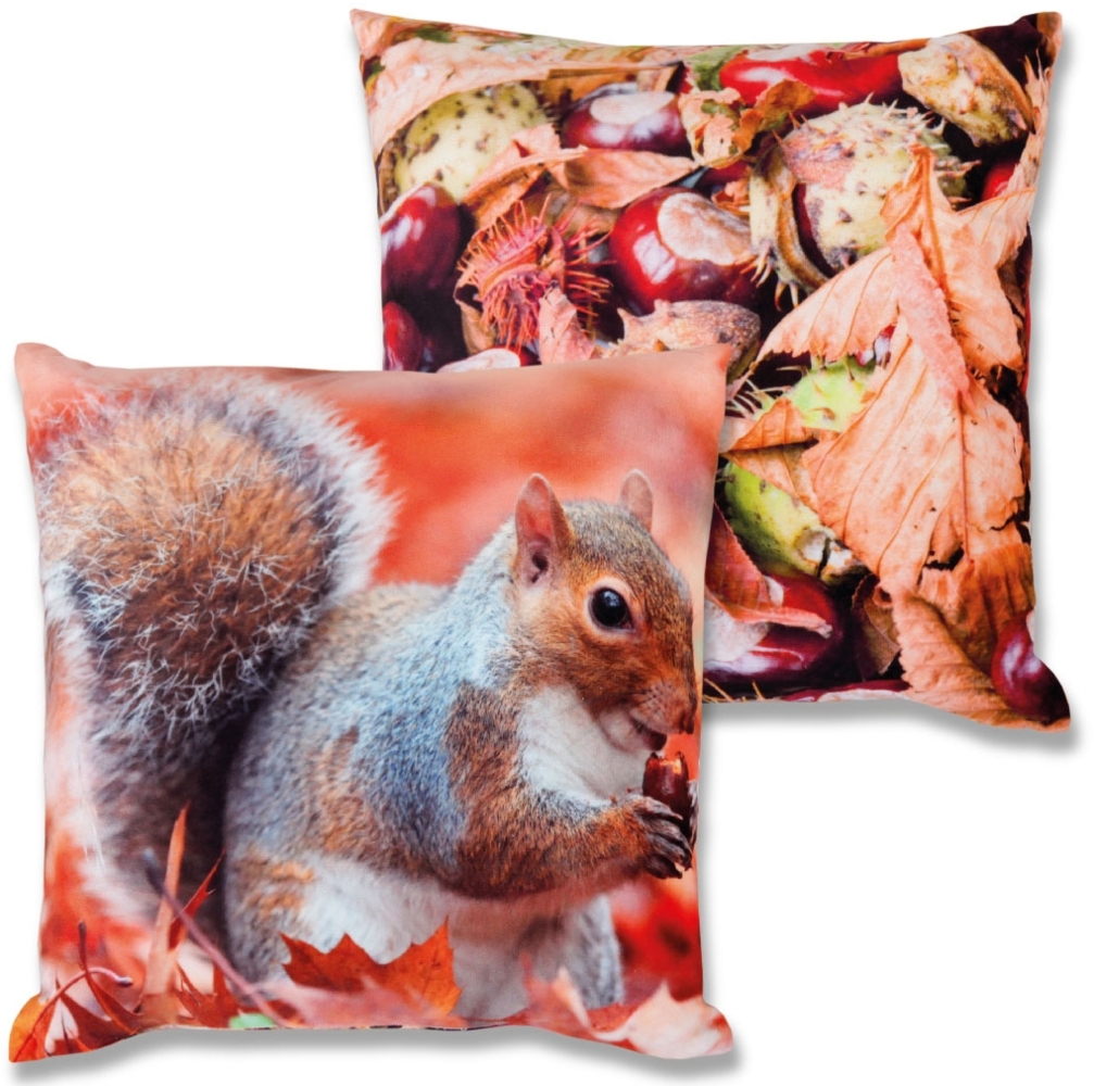 Bestlivings Dekokissen mit Fotodruck ca. 40x40cm, Beidseitig bedruckt, in vielen Motiven verfügbar ( Design: EICHHÖRNCHEN / KASTANIEN ) Bild 1