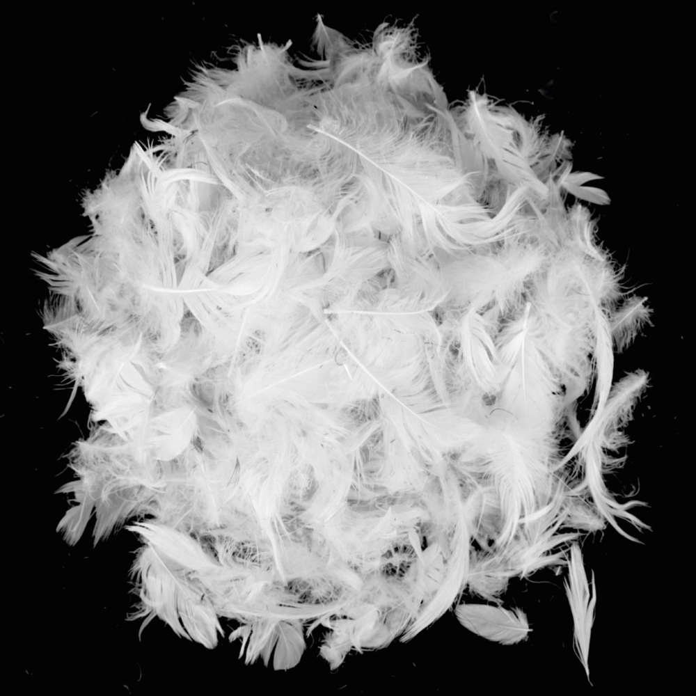 Arsvita Füllkissen Kissenfüllung mit Feder,Polyester Füllung 50 x 70 cm Federkissen Bild 1