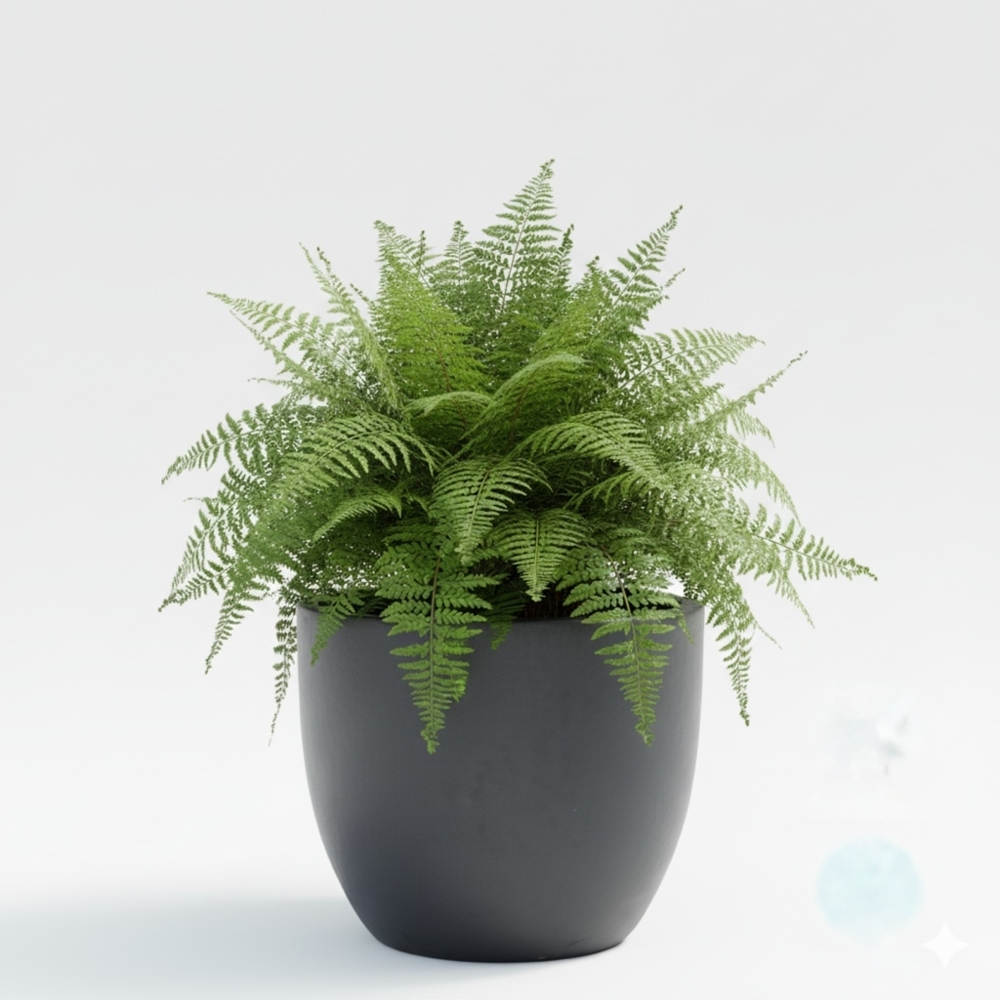 Keramik Blumentopf Eggpot Anthrazit Ø 29cm - Frostfest Pflanzkübel Grau Rund Bild 1