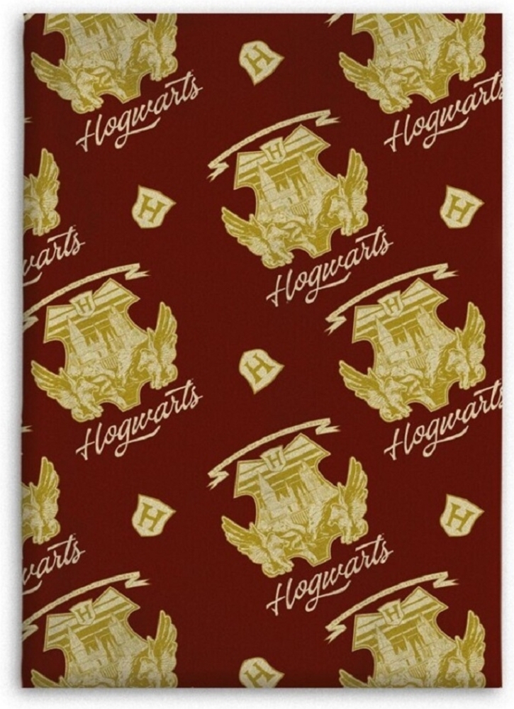 Harry Potter Decke – Wohndecke 130x160 cm für Kinderzimmer und mehr Bild 1