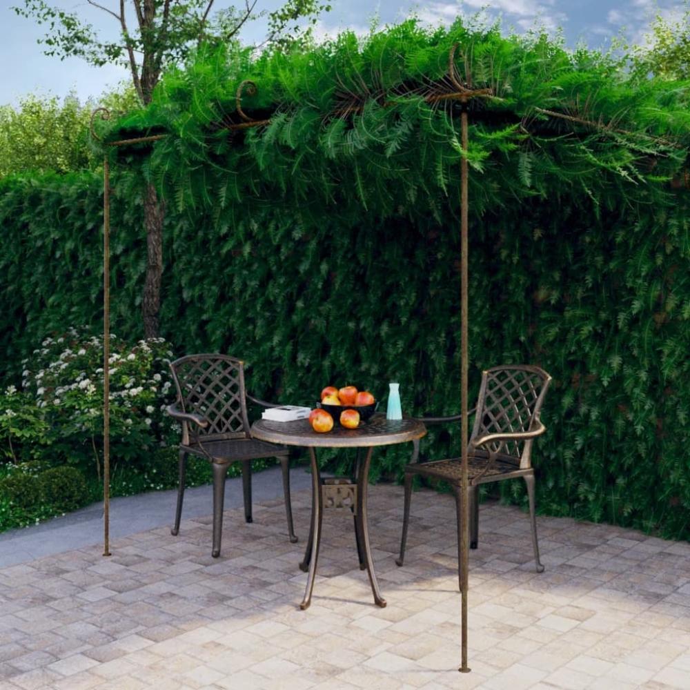 vidaXL Garten-Pergola Antik-Braun 3x3x2,5 m Eisen 313997 Bild 1