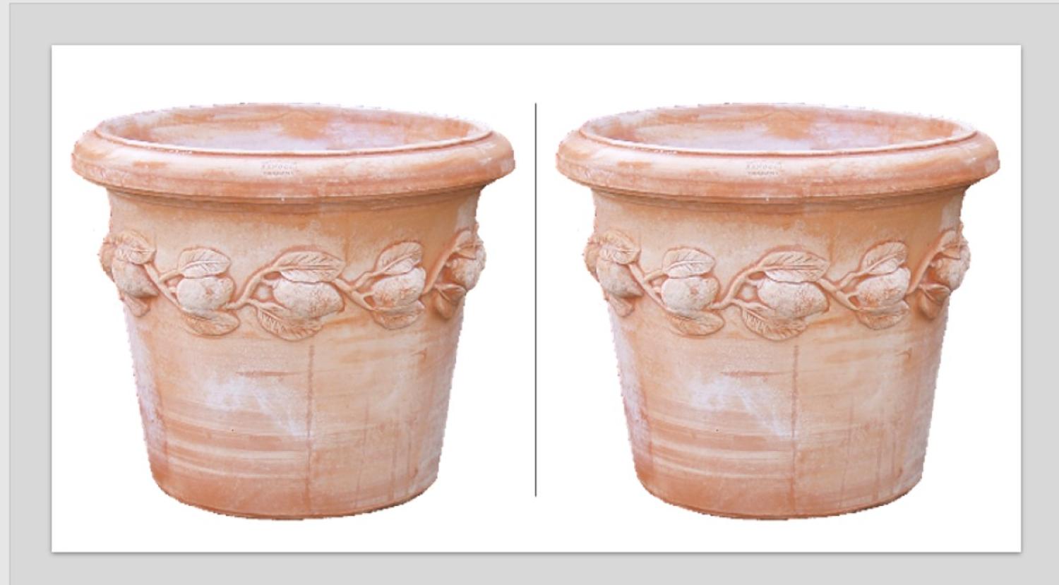 2 X Siena Limoni 80 cm Bild 1