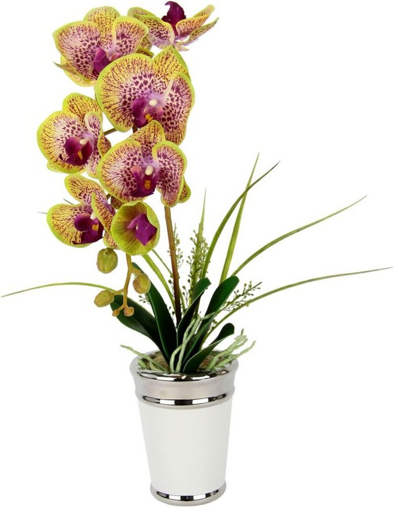 Kunstblume Orchidee, I.GE.A, Höhe 52 cm, im Topf, aus Keramik, Seidenblume Real Touch Bild 1