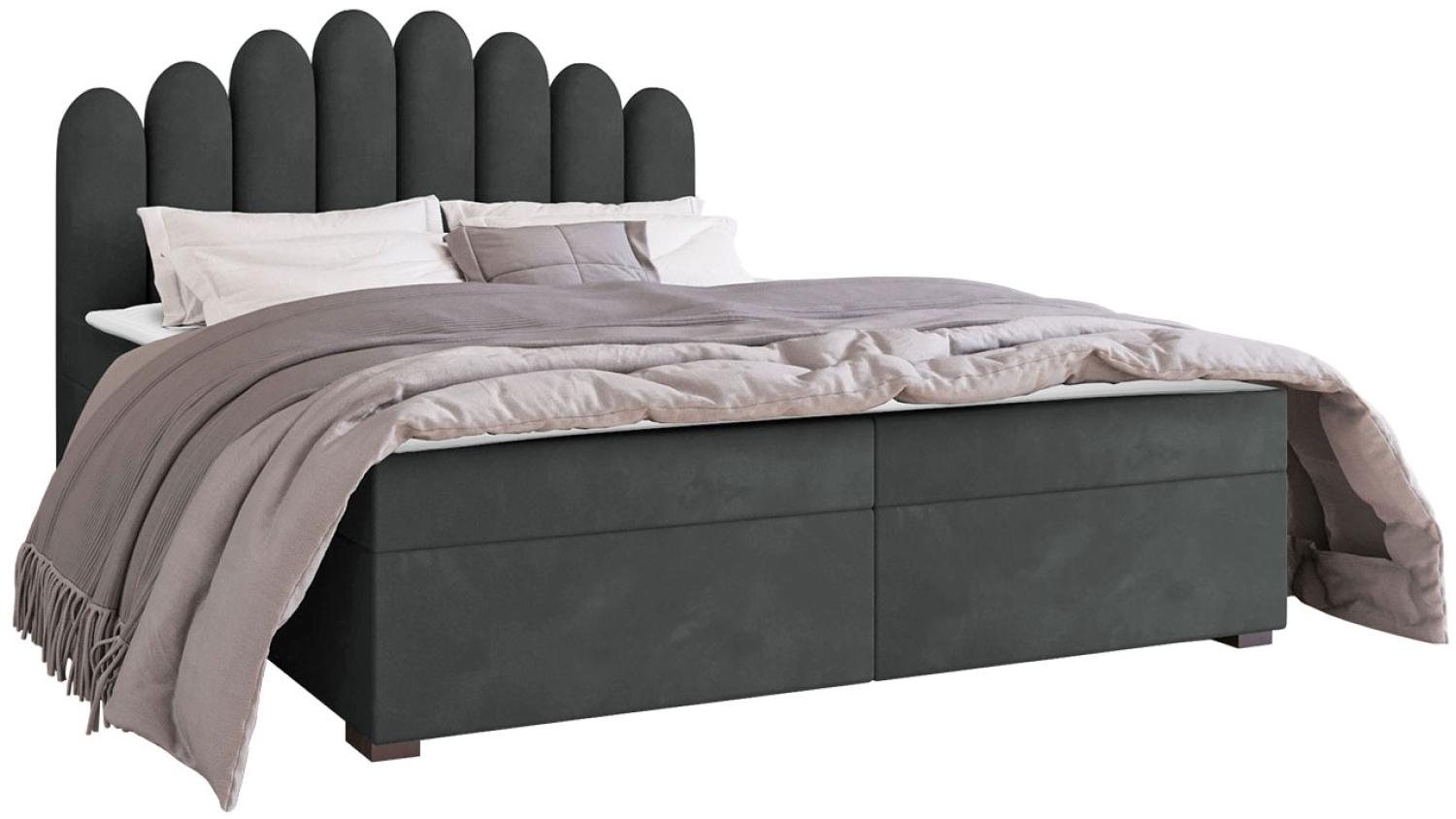 Mirjan24 	Boxspringbett Tosian, Grau, 180 x 200 cm Bild 1