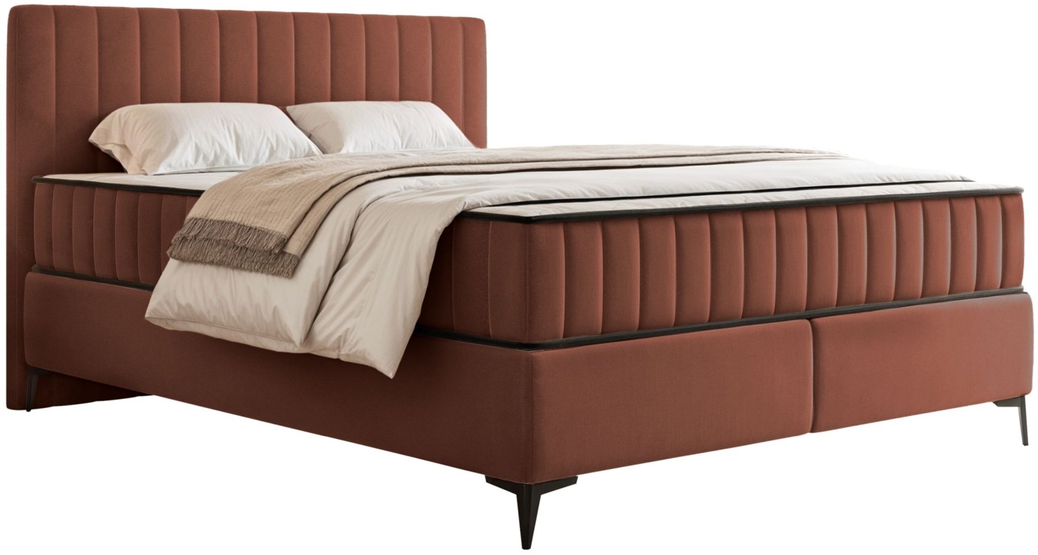Selsey 'Mufasso' Boxbett 160x200 mit Bettkasten – wasserabweisender Velours, kupfer Bild 1