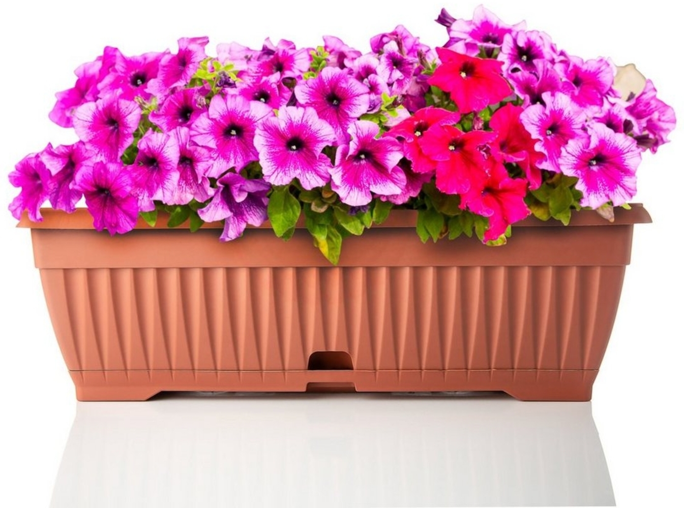 BigDean Blumenkasten mit abnehmbarem Untersetzer - Terracotta 50 cm lang aus bruchsicherem Kunststoff - Balkonkasten Pflanzkasten mit Wasserspeicher für Innen- & Außenbereich geeignet - Made in Europe Bild 1