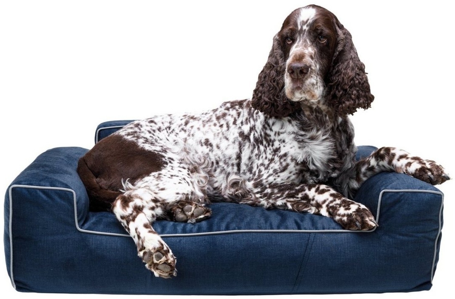 Bjird Tierbett Hundebett LUNA Fancy, Bezug abnehbar und waschbar, Hundesofa für kleie und grosse Hunde, Größe: M,L,XL/XXL Bild 1