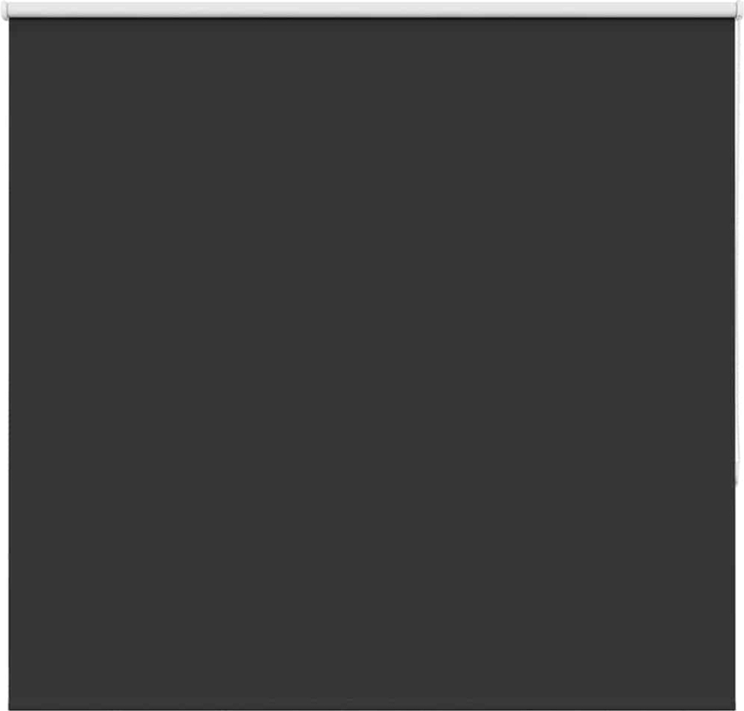 vidaXL Verdunkelungsrollo Schwarz 165x175 cm Stoffbreite 161,6 cm 4010907 Bild 1