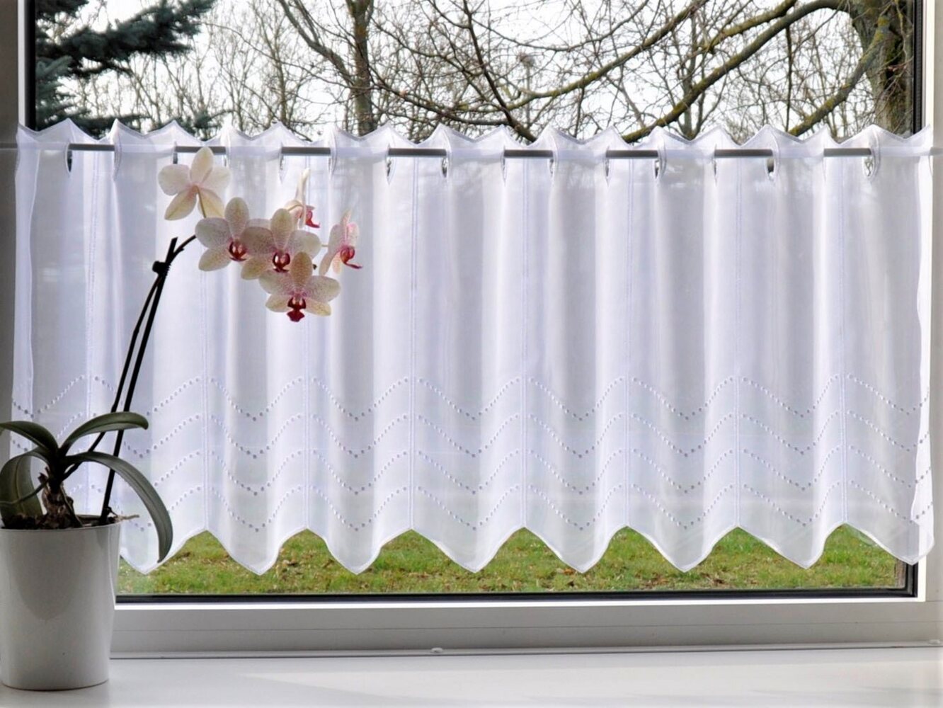 Stickereien Plauen Scheibengardine Grafik (1 St), Stangendurchzug, halbtransparent Bild 1