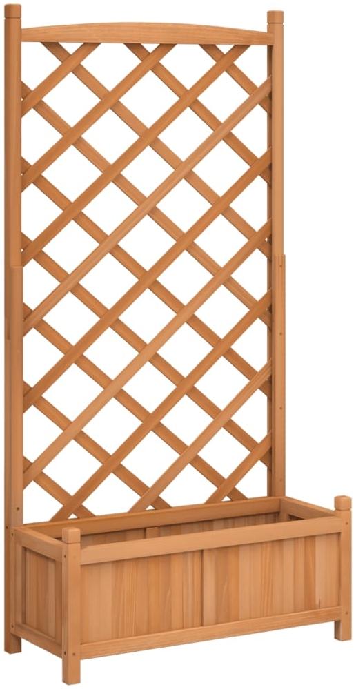 vidaXL Pflanzkübel mit Spalier Braun Massivholz Tanne 365488 Bild 1