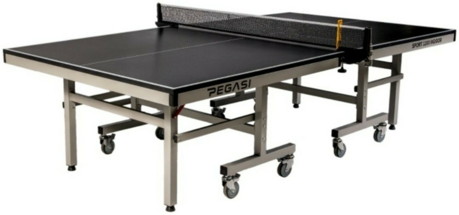 Tischtennisplatte Pegasi 1200 Indoor Pro Schwarz Bild 1