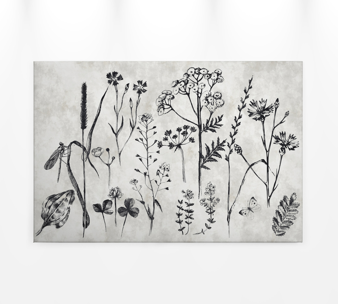 Leinwandbild Blumen Grau Schwarz 90x60 DD120363 Keilrahmen Wandbild Leinwand Bild 1