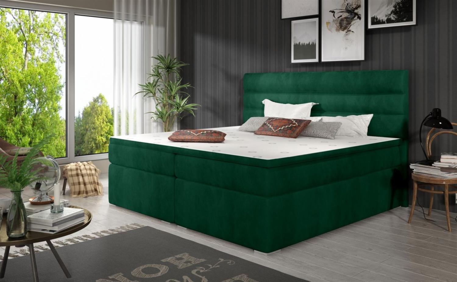 Boxspringbett FESTO 160x200 cm Stoff Kronos Grün Bild 1