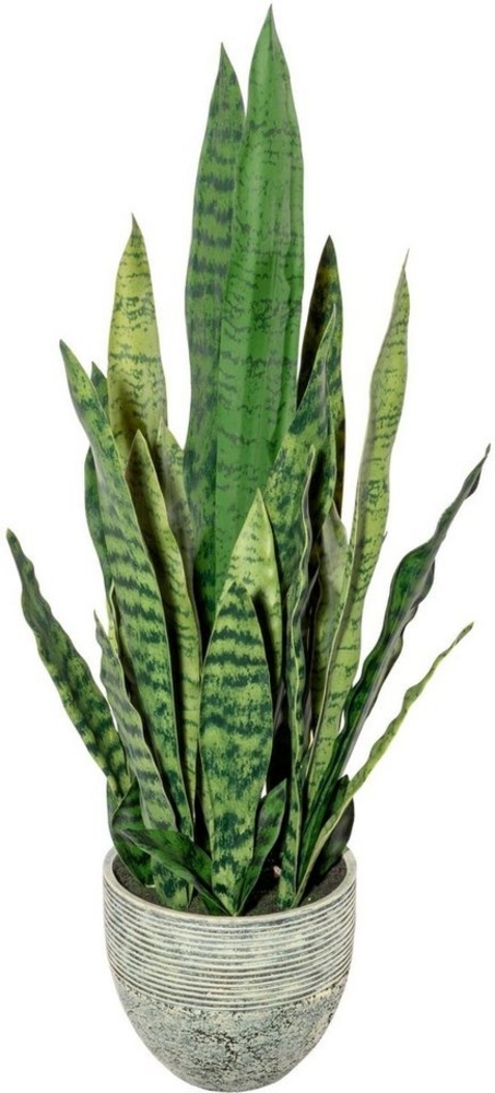 Künstliche Zimmerpflanze Sanseveria Sukkulente, Creativ green, Höhe 70 cm Bild 1