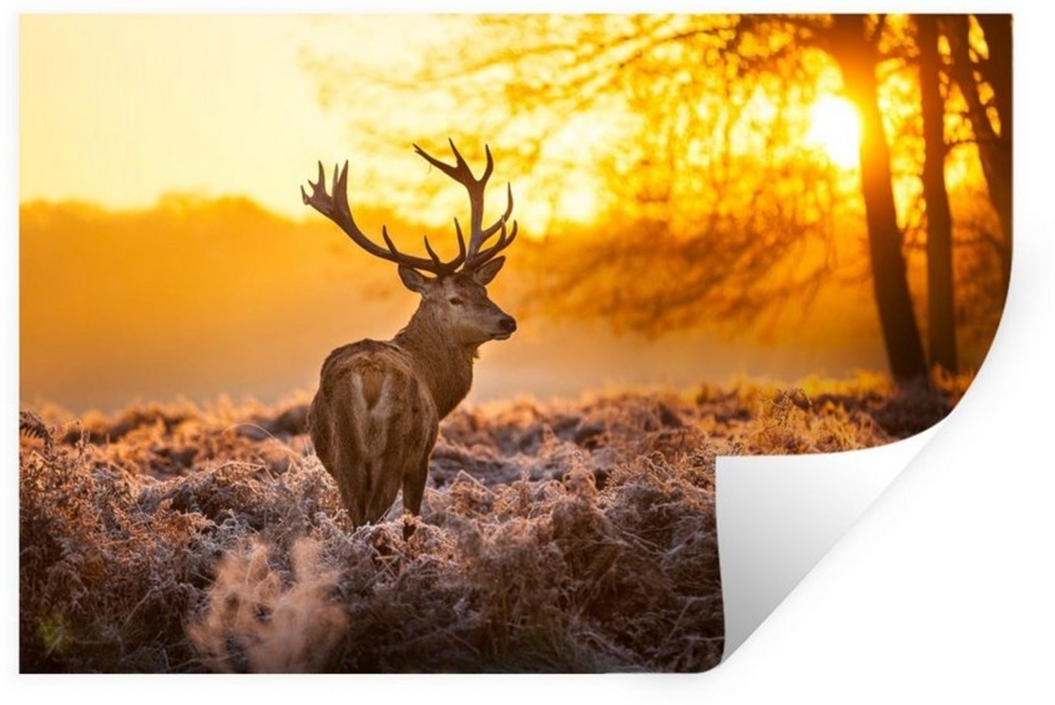 MuchoWow Wandsticker Hirsche - Tiere - Sonnenuntergang - Winter - Heidekraut - Natur (1 St), Wandtattoo, Selbstklebend, Wohnzimmer, 30x20 cm Bild 1