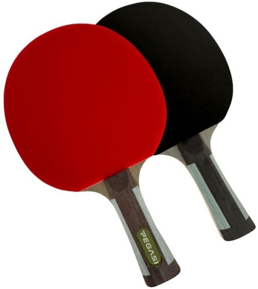 Pegasi Tischtennisschläger 6 Sterne Expert Bild 1