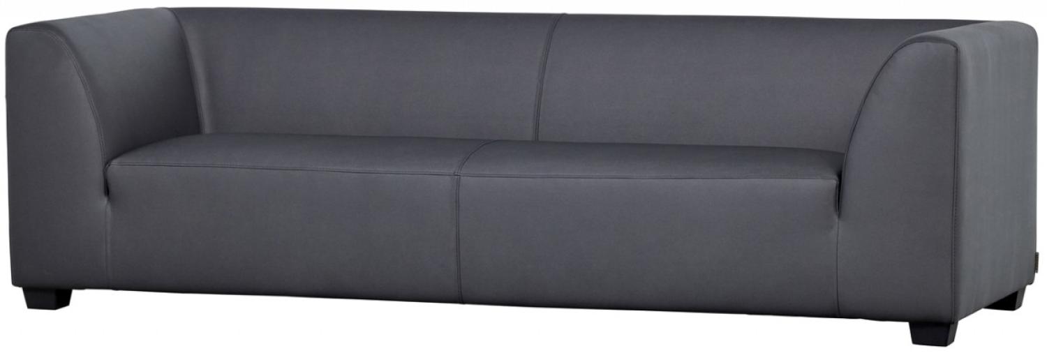 Sofa Hollandia 3-Sitzer - Carbon Bild 1