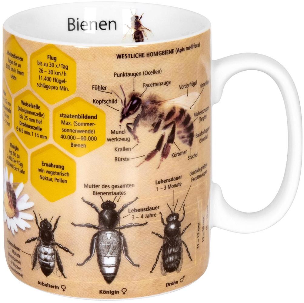 Könitz Wissensbecher Biene Becher, Kaffeebecher, Teetasse, Tasse, Porzellan, 360 ml, 11 1 330 2445 Bild 1