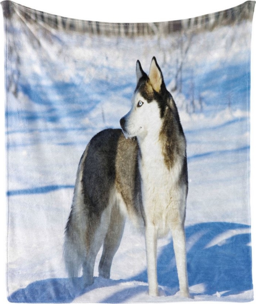 Wohndecke Gemütlicher Plüsch für den Innen- und Außenbereich, Abakuhaus, Alaskan Malamute Husky auf Schnee Bild 1