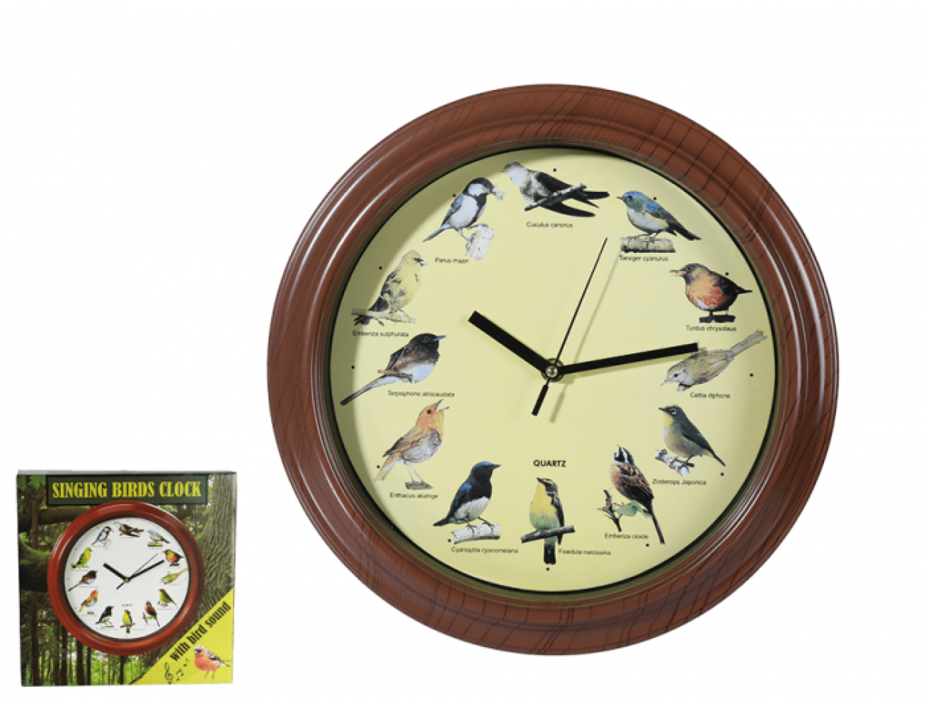 Out of the Blue Wanduhr mit Vogelstimmen, D: ca. 33 cm Bild 1