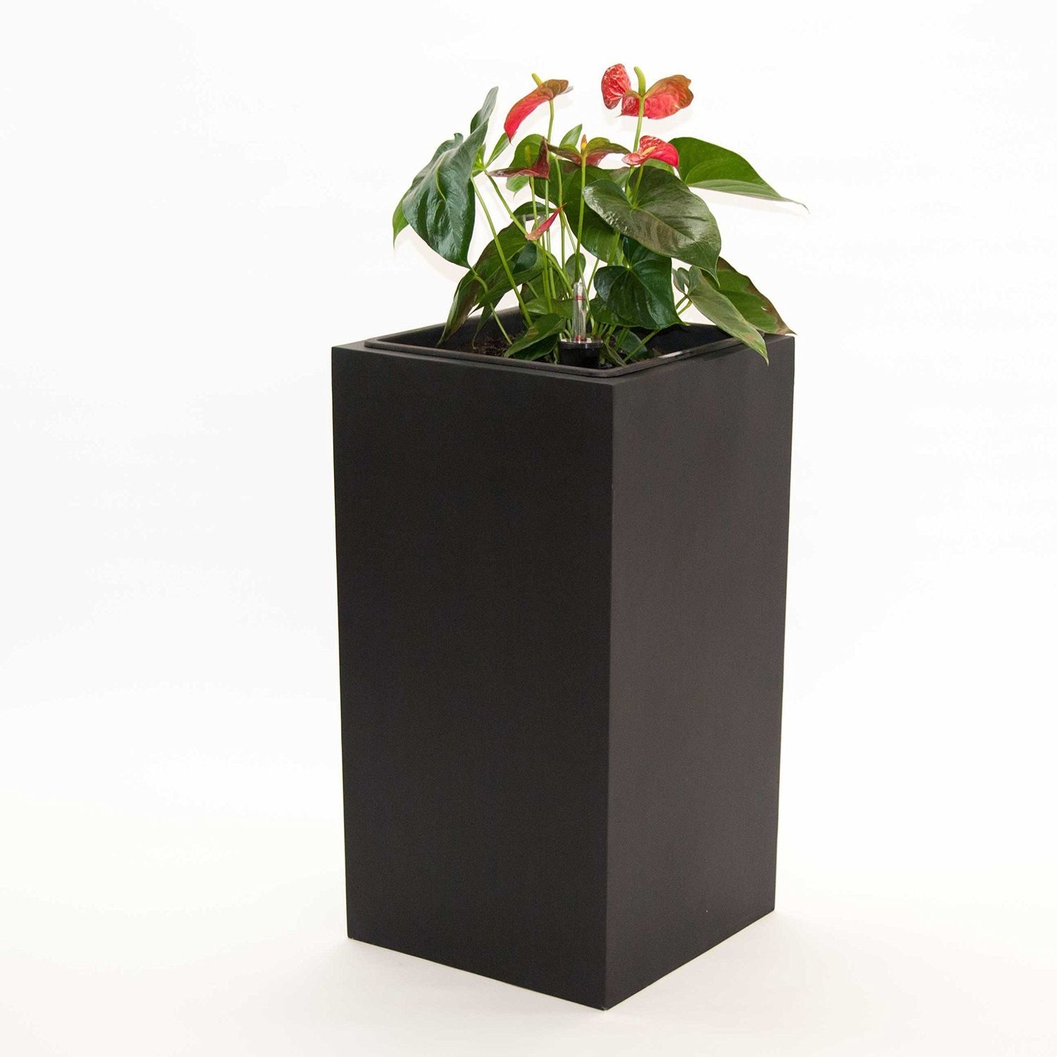Pflanzkübel Blumenkübel Blumentopf Fiberglas Säule LxBxH 38 x 38 x 80 cm elegant schwarz-matt. Bild 1
