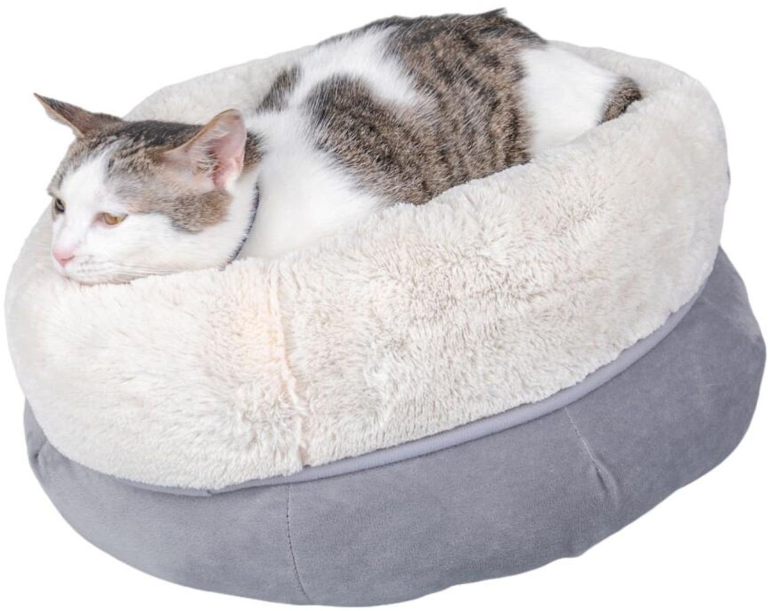 8 Stück Kuschelbetten 46x24cm für Katzen & kleine Hunde rund grau Haustierliege Bild 1