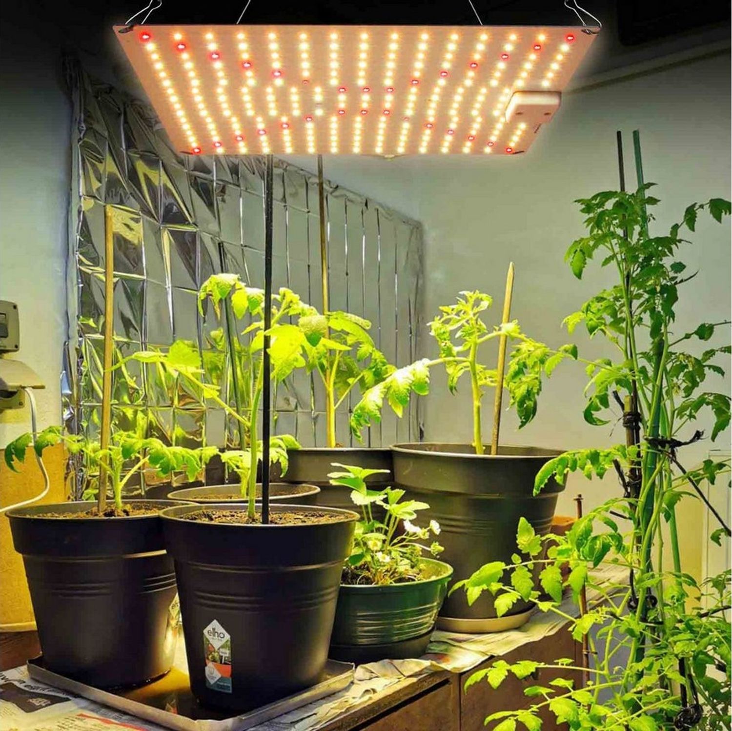 MUPOO Pflanzenlampe LED Pflanzenleuchte,LED Grow Light Vollspektrum mit Kette, Mittlere Größe: 45W/240LEDs,für Indoor-Pflanzen, Gemüse und Blumen Bild 1