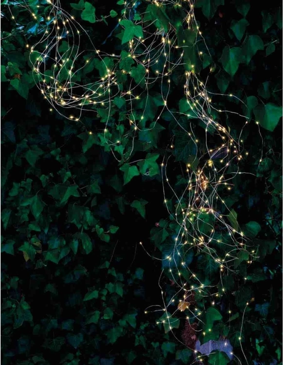 Sirius Knirke Lichterkette 500 LEDs - Klar/Grün Bild 1