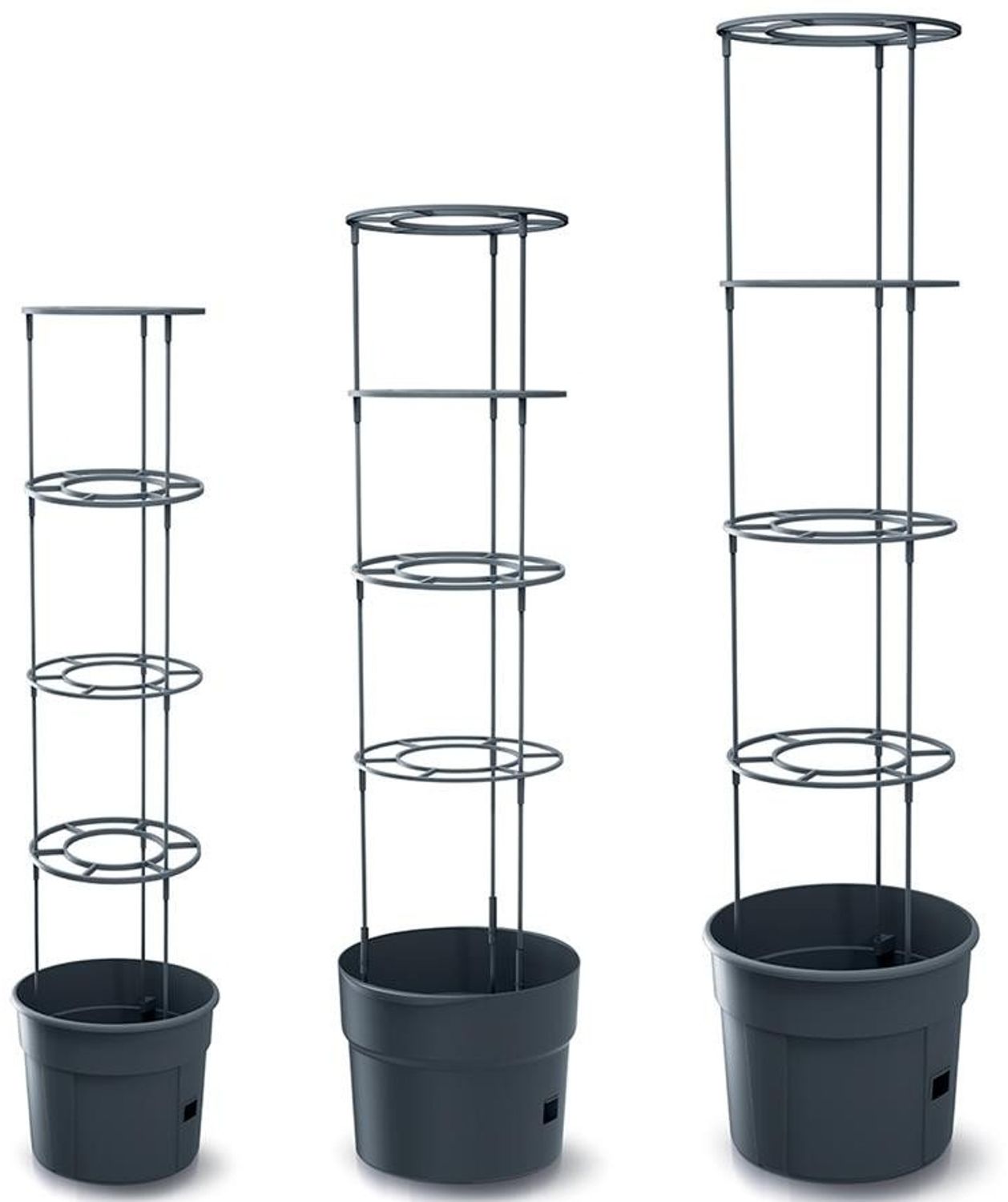 Prosperplast Pflanzkübel IPOM300-S433, Topf für Tomatenpflanze 12L Tomatenzüchter Bild 1