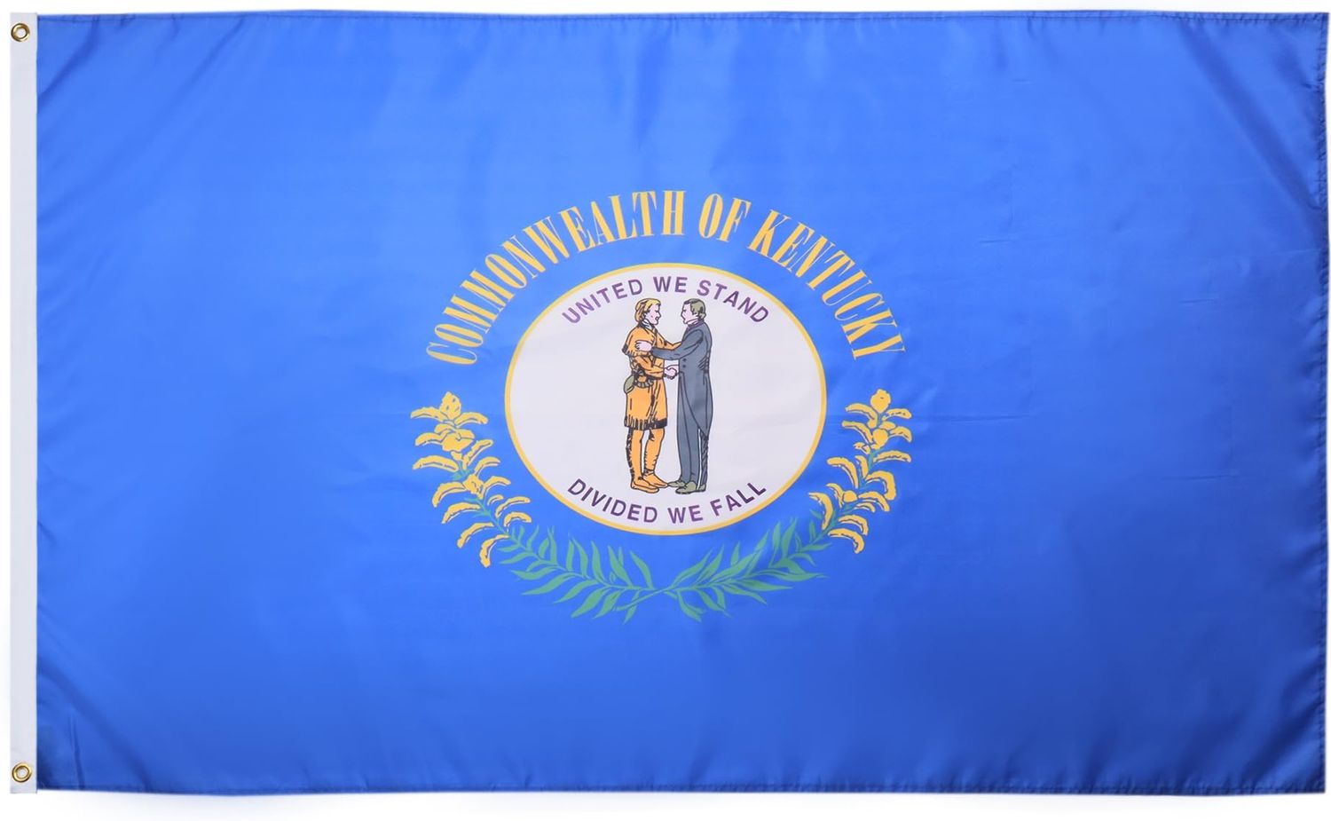 AZ FLAG - Flagge Kentucky - 150x90 cm - Bundesstaat Kentucky Fahne 100% Polyester mit Messing-Ösen - 110g Bild 1