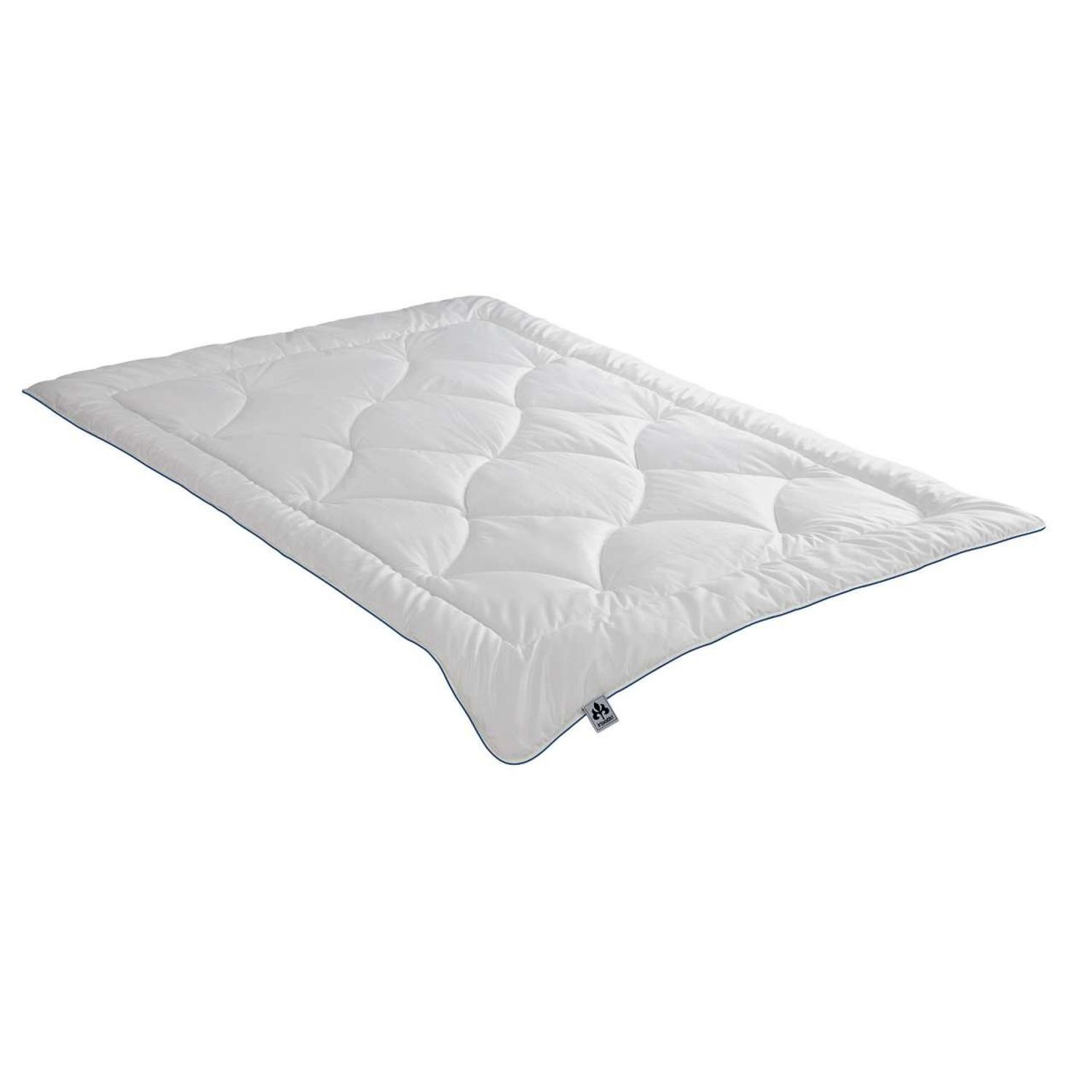 Badenia Irisette Steppbett Greta mono, Größe 200x200 cm, Ganzjahresdecke Bild 1