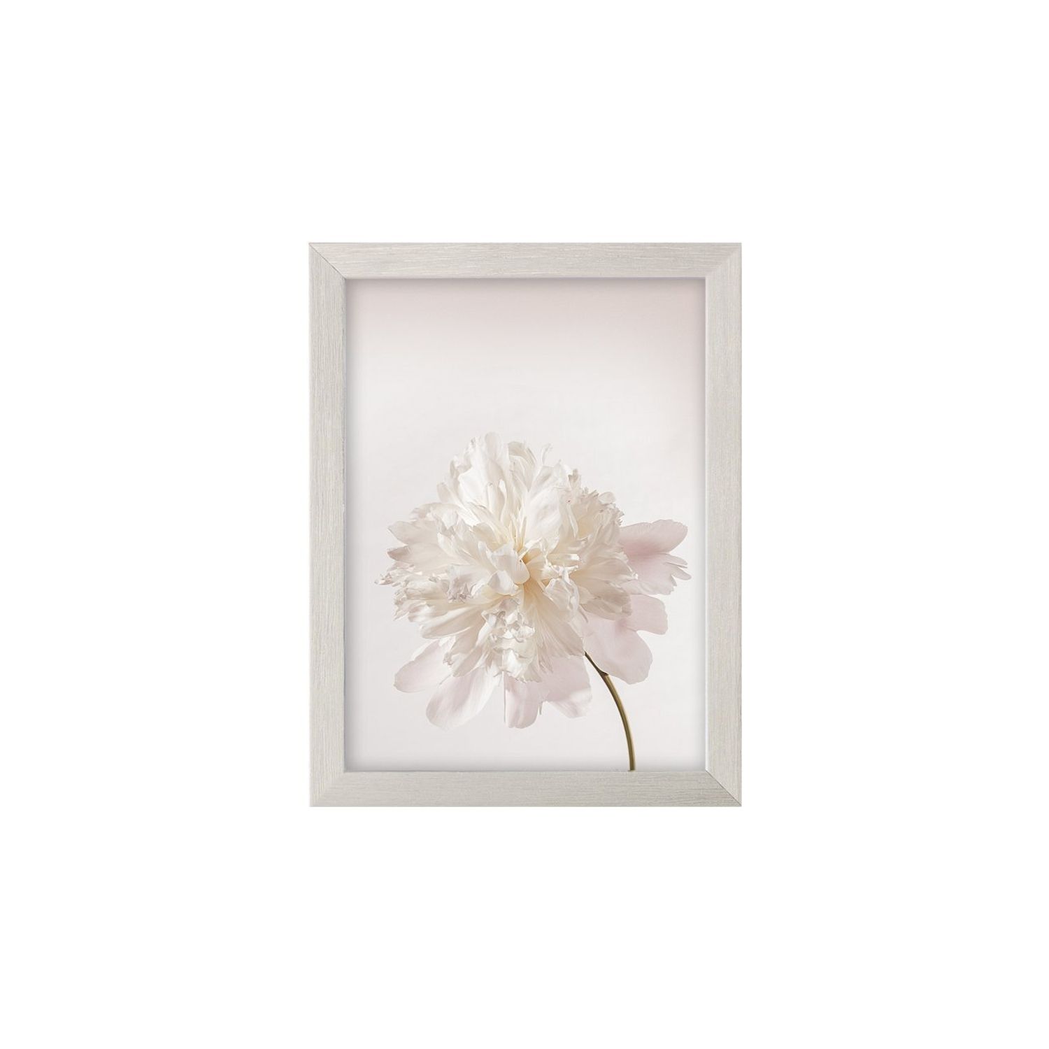Dekoria Wandbild Peony III 18x24cm silver Bild 1