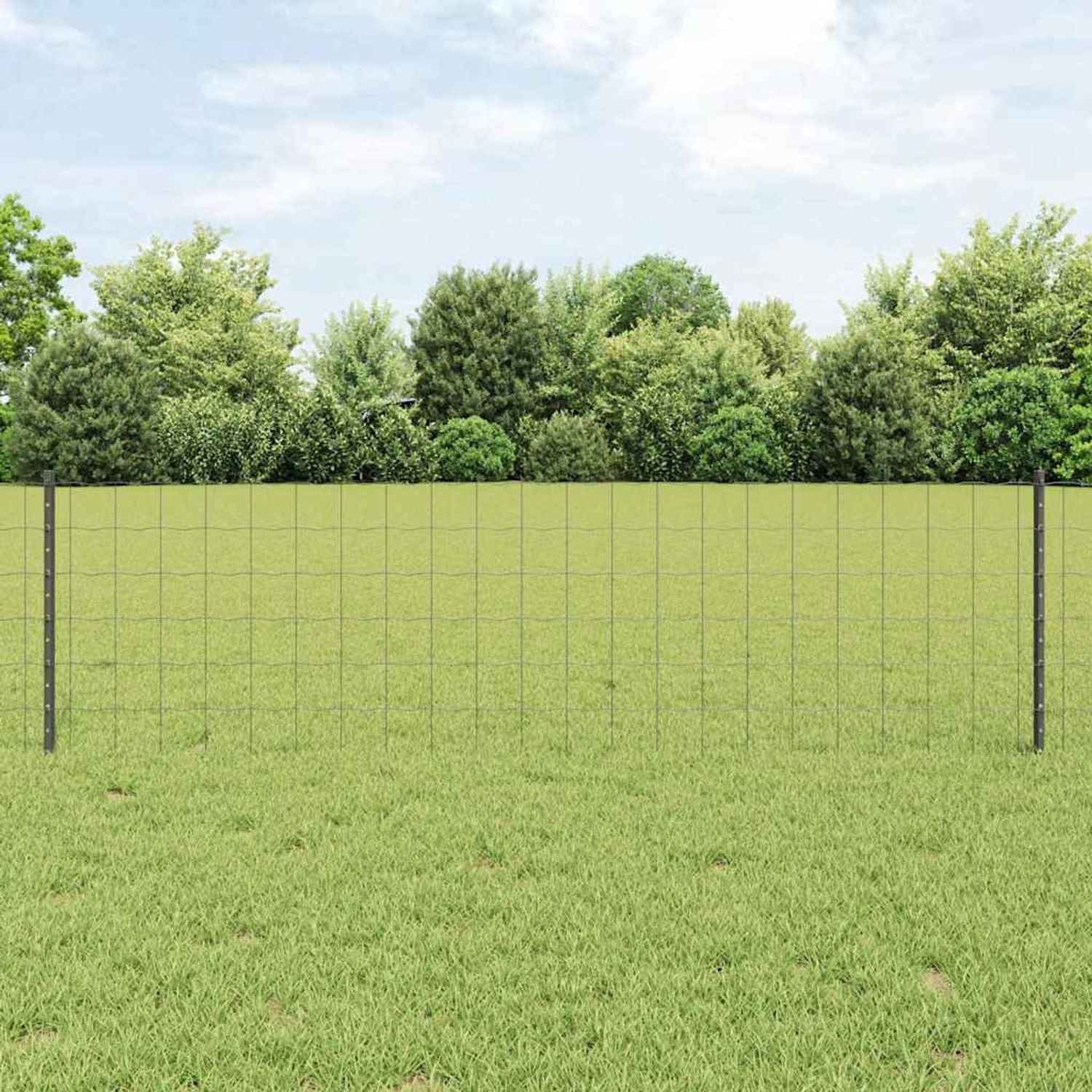 vidaXL Zaun mit Pfosten Grau 3336087 Bild 1