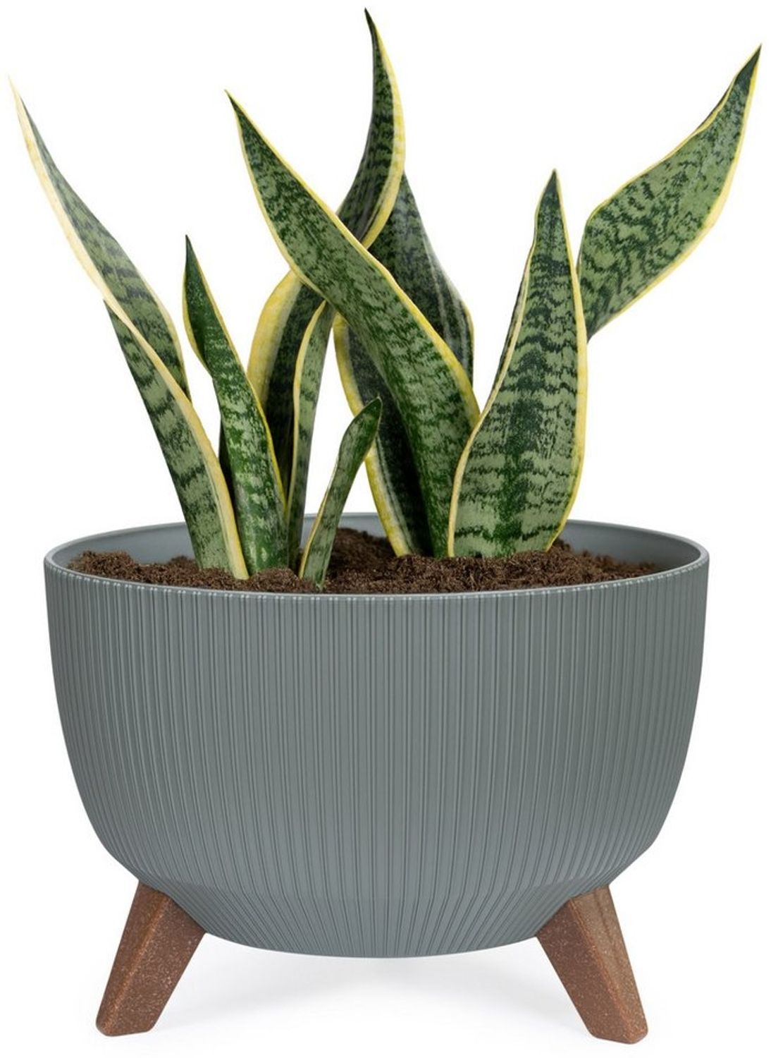KONZEPT Blumentopf Pflanzenschale mit Füßen 33 cm, Pflanzkübel Groß Außen, Blumentopf Kunststoff, UV-Beständig, Wetterfest, Mit Wasserablauf Bild 1
