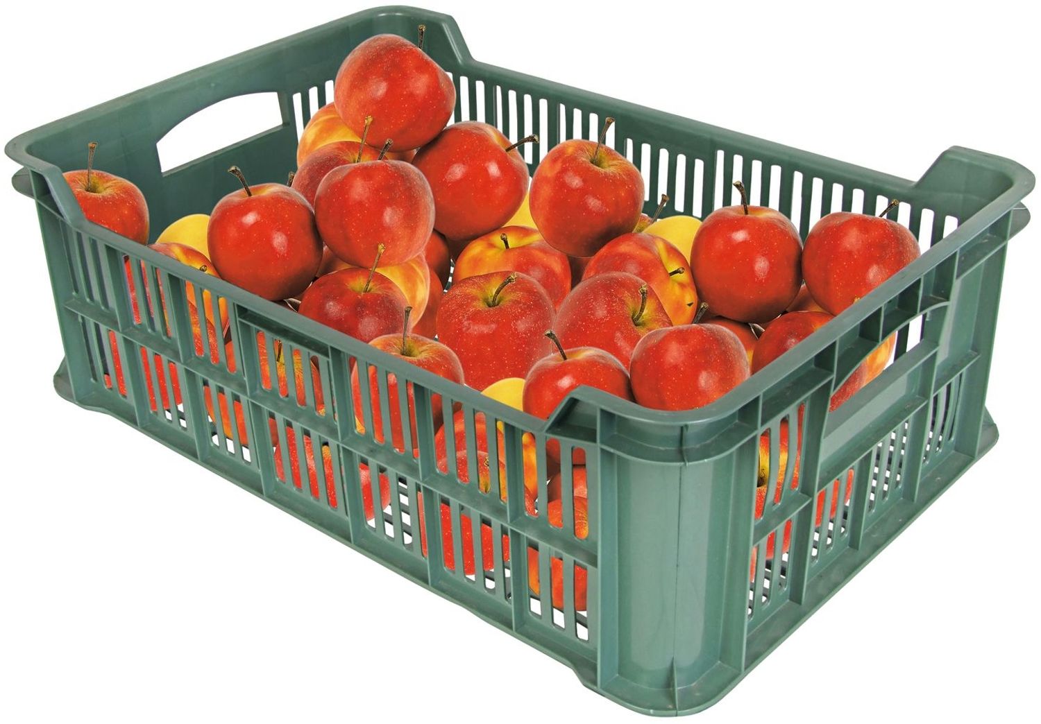 BURI Obst- und Gemüsekiste Kartoffelkiste Kiste Lagerkiste Gemüse Transportkiste Bild 1