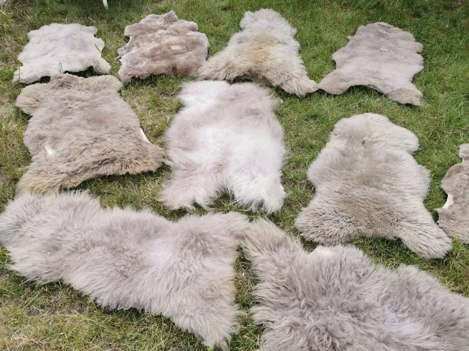 Provellus Fellteppich Öko Schaffell Lammfell Taupe 2. Wahl Bis 140 cm, 30x30cm rund Bild 1