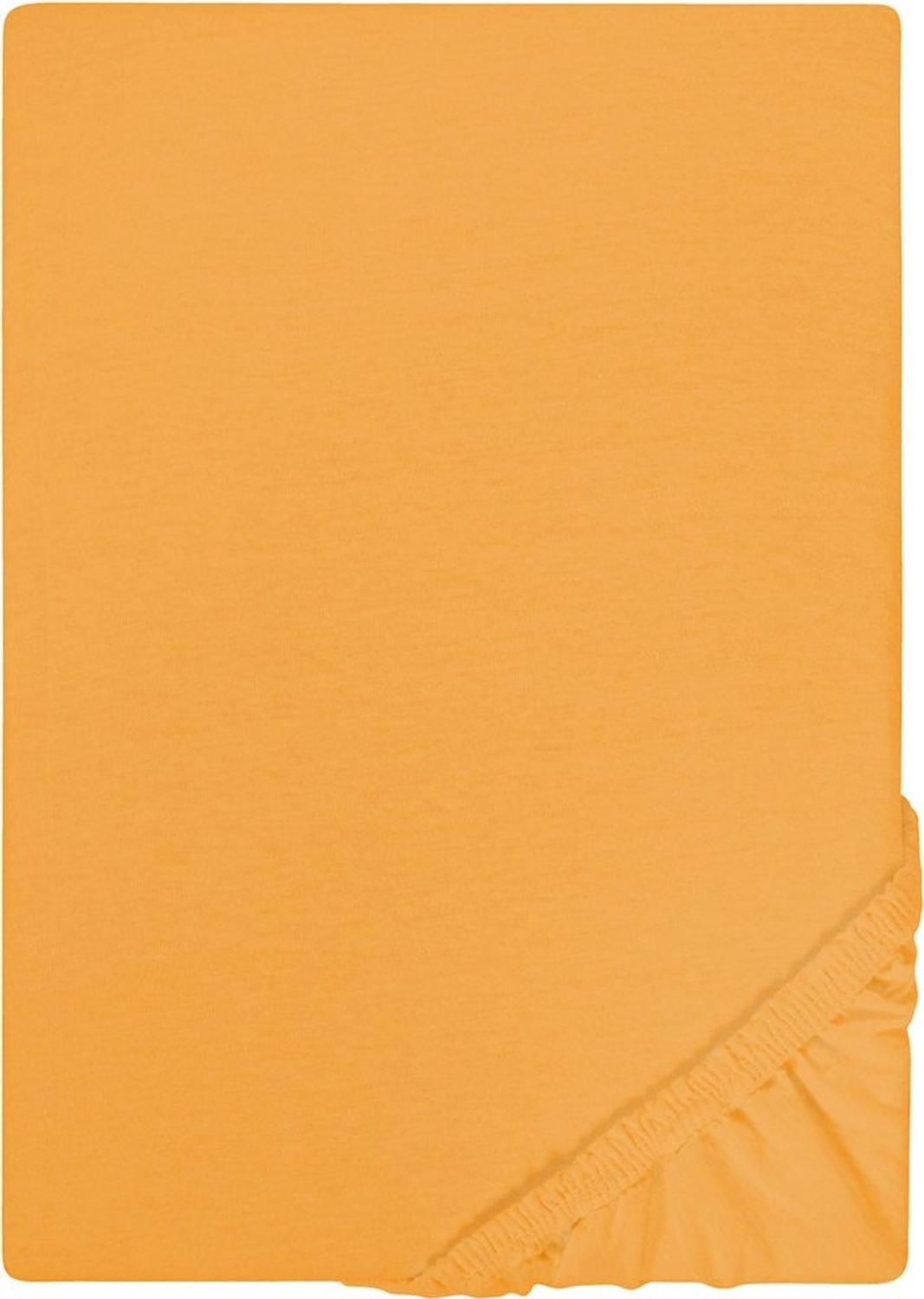 Biberna Jersey-Spannbetttuch, 100 % Baumwolle, Safran, 1x 140x200 cm - 160x200 cm Bild 1
