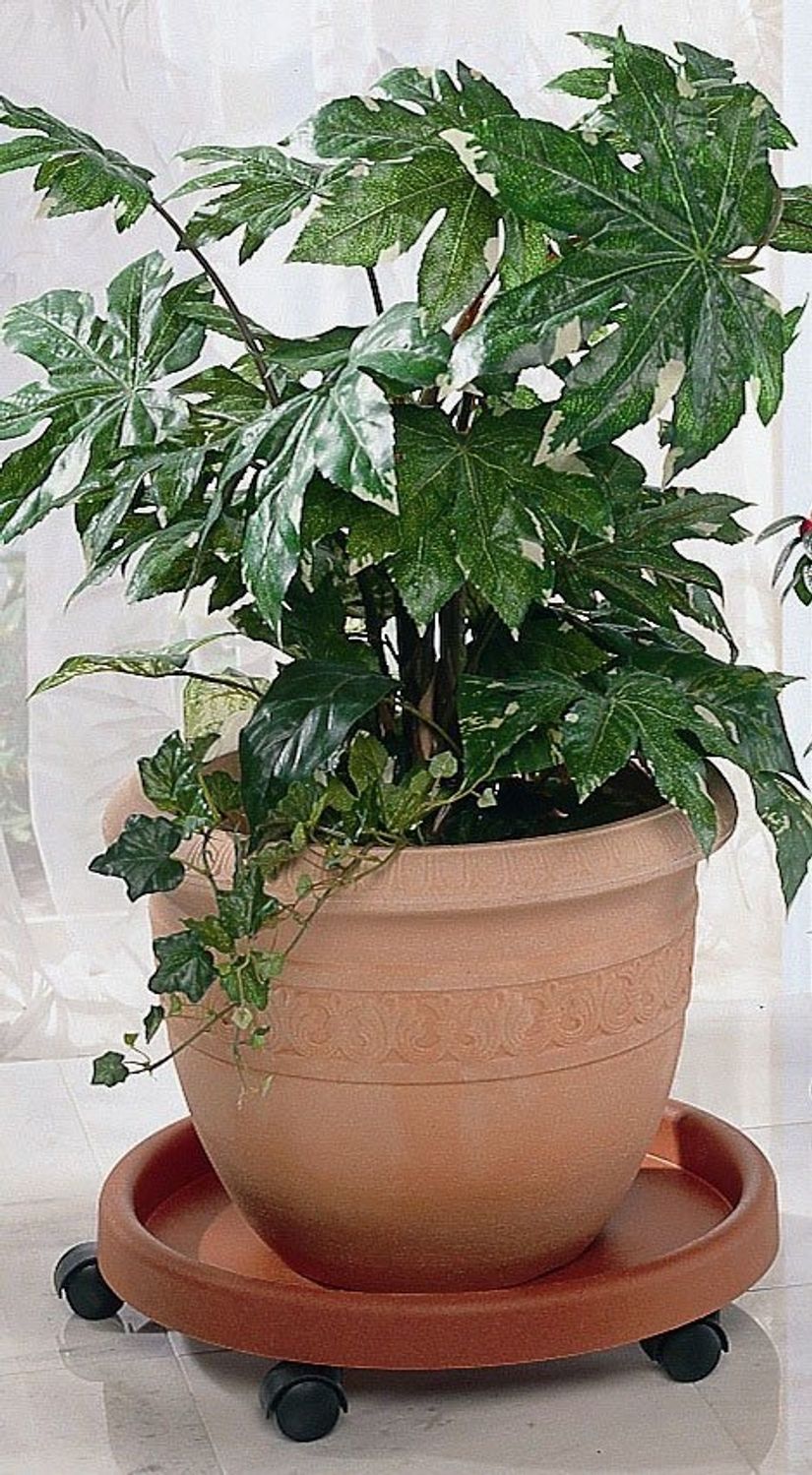Ruco Blumentopfuntersetzer - Aufstellfläche bzw. Innenmaß ca. 30 cm, Set, 2-tlg, Kunststoff, Ø 34 cm Bild 1