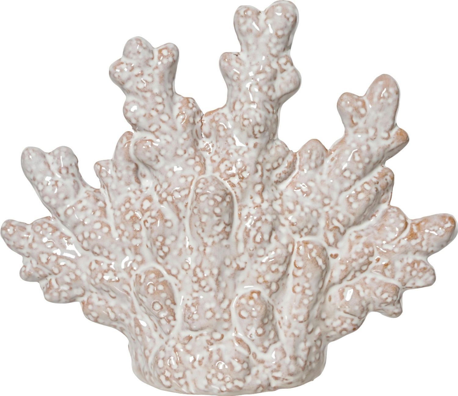 Kaemingk Tisch-Deko Muschel Porzellan 15 cm beige Bild 1