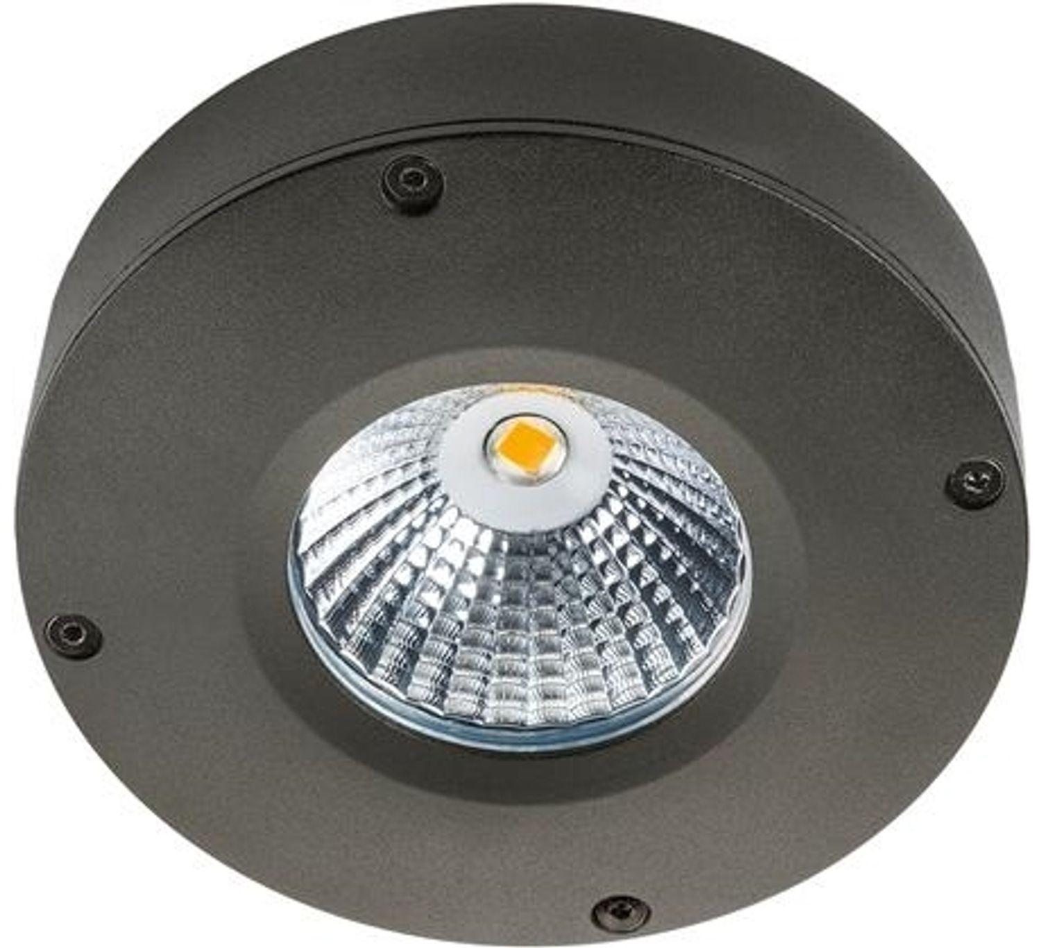 SG-Leuchten 923010 Callisto 3W 200lm 3000K graphit LED-Deckenleuchte. Bild 1