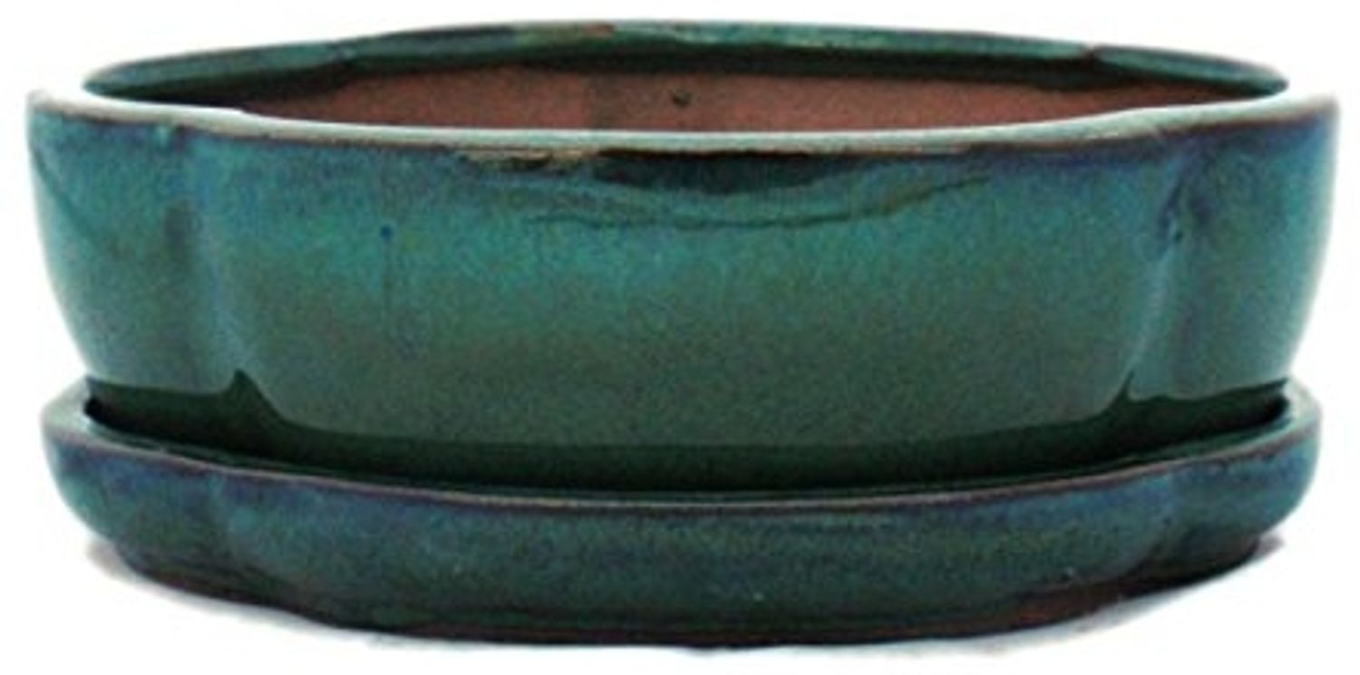 Exotenherz Pflanzschale Bonsai-Schale mit Unterteller Gr. 3 Grün haitang/oval Modell I5 L 17cm (1 St) Bild 1