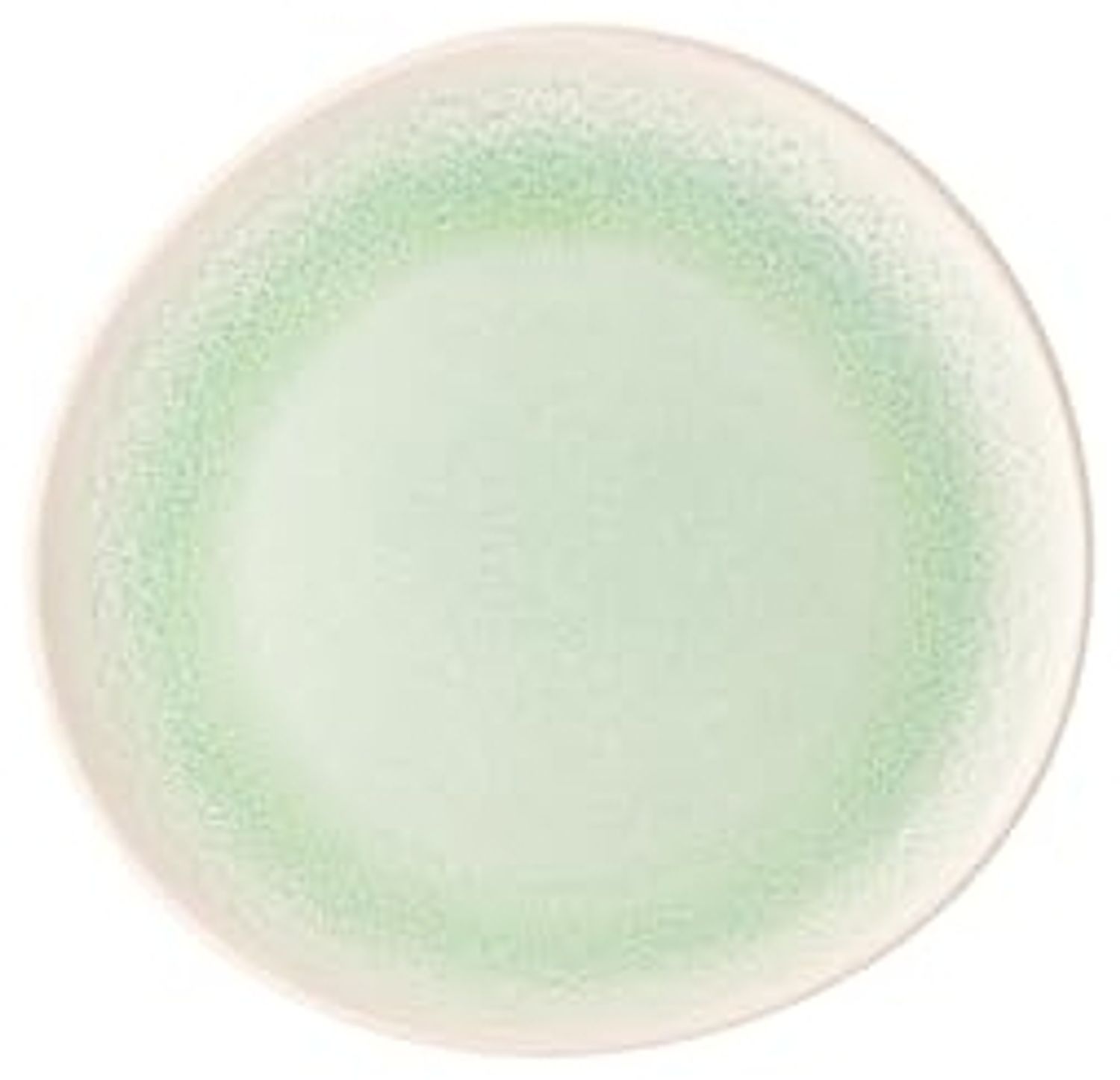 Rosenthal Junto Jungle Teller flach 22 cm Bild 1