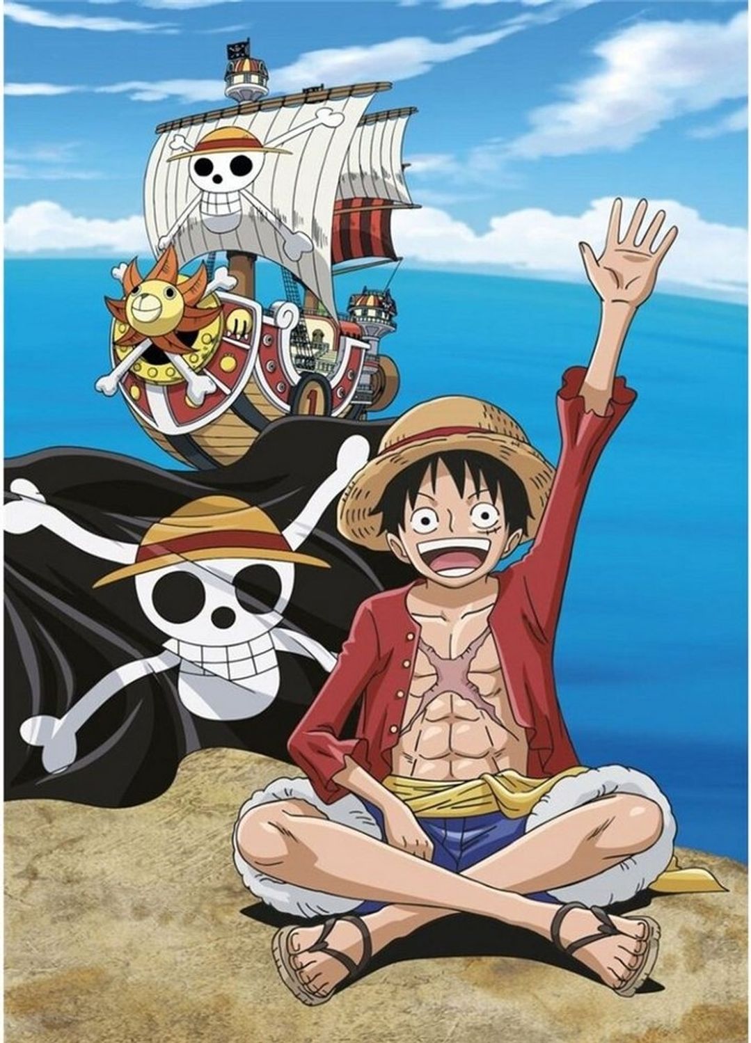 Strandtuch One Piece - Strandtuch - Piraten - Fleecedecke Bild 1