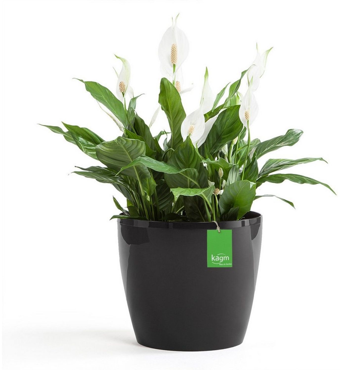 KAGM Blumentopf Übertopf Pflanztopf Hochglanz Pflanzkübel Bild 1