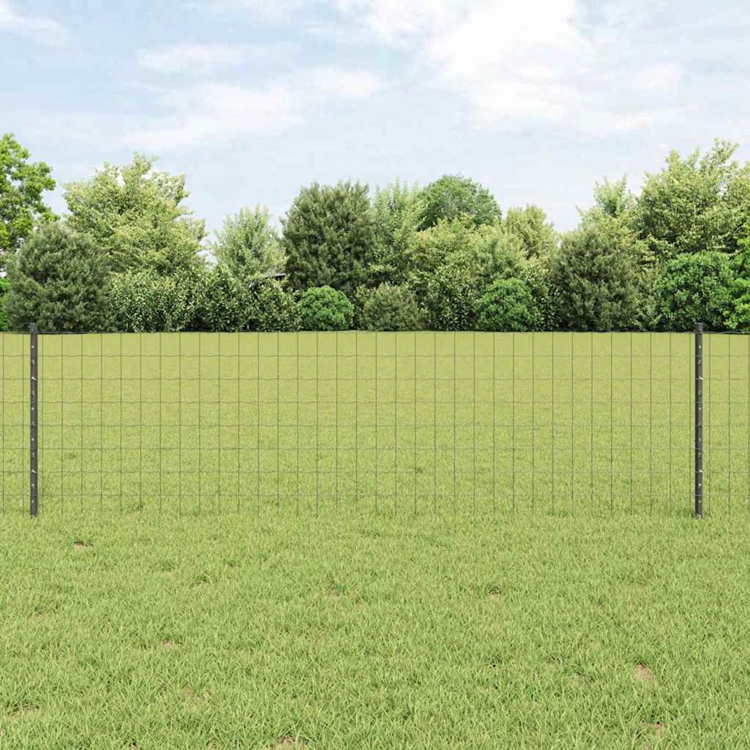 vidaXL Zaun mit Pfosten Grau 3336130 Bild 1